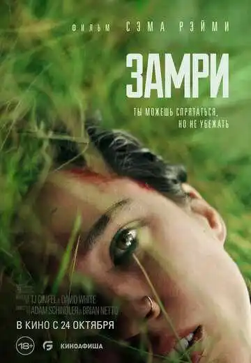 Постер фильма Замри