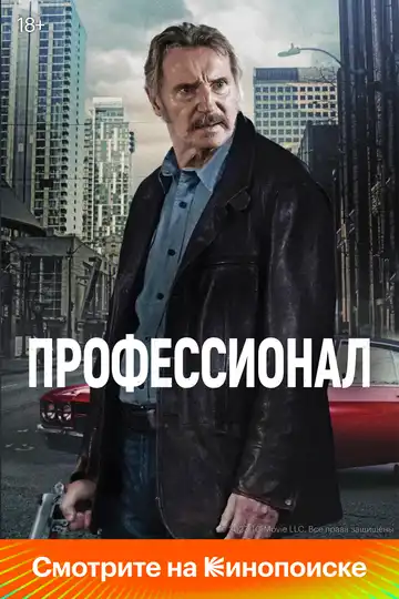 Постер фильма Профессионал