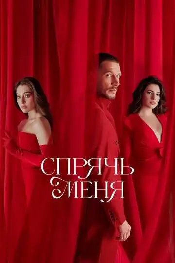 Постер сериала Спрячь меня
