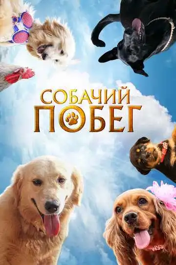 Постер Собачий побег