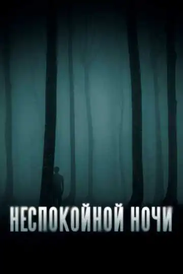 Постер Неспокойной ночи